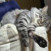 ヒメ日記 2025/02/20 14:51 投稿 水越 BBW横浜店