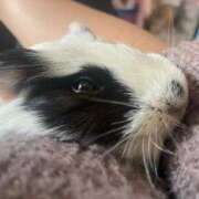 ヒメ日記 2025/03/13 18:35 投稿 水越 BBW横浜店