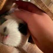 ヒメ日記 2025/05/29 22:05 投稿 水越 BBW横浜店