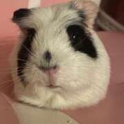 ヒメ日記 2025/05/31 21:00 投稿 水越 BBW横浜店