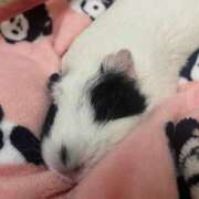 ヒメ日記 2025/06/04 00:29 投稿 水越 BBW横浜店