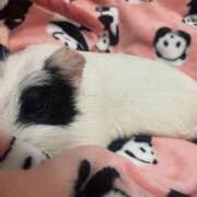 ヒメ日記 2025/06/15 23:52 投稿 水越 BBW横浜店