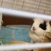 ヒメ日記 2025/06/20 09:43 投稿 水越 BBW横浜店