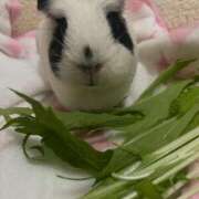 ヒメ日記 2025/06/22 10:19 投稿 水越 BBW横浜店