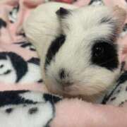 ヒメ日記 2025/07/07 12:39 投稿 水越 BBW横浜店