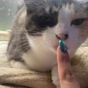 ヒメ日記 2025/07/19 21:53 投稿 水越 BBW横浜店