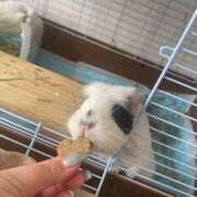 ヒメ日記 2025/07/22 09:55 投稿 水越 BBW横浜店