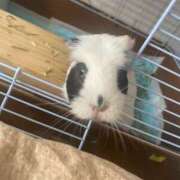 ヒメ日記 2025/08/03 11:03 投稿 水越 BBW横浜店