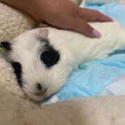 ヒメ日記 2025/08/12 10:51 投稿 水越 BBW横浜店