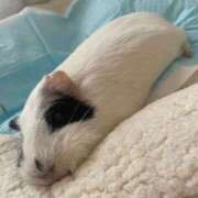 ヒメ日記 2025/08/20 18:06 投稿 水越 BBW横浜店