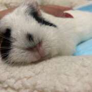 ヒメ日記 2025/09/13 21:52 投稿 水越 BBW横浜店