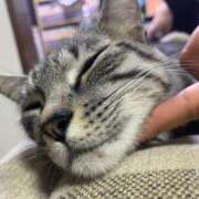 ヒメ日記 2025/09/15 20:25 投稿 水越 BBW横浜店