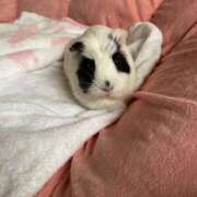 ヒメ日記 2025/10/28 09:18 投稿 水越 BBW横浜店