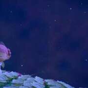 ヒメ日記 2025/11/07 20:00 投稿 水越 BBW横浜店