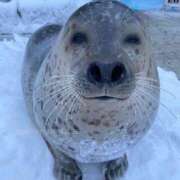 ヒメ日記 2025/11/28 12:56 投稿 水越 BBW横浜店