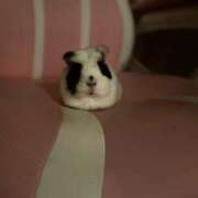 水越 だいすきなんだよね〜 BBW横浜店