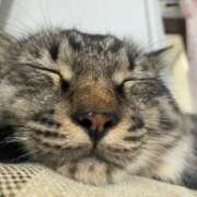 水越 おやすみ BBW横浜店