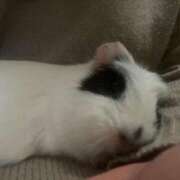 ヒメ日記 2026/01/28 11:52 投稿 水越 BBW横浜店