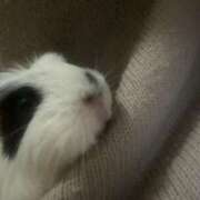 ヒメ日記 2026/01/31 20:50 投稿 水越 BBW横浜店