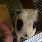 ヒメ日記 2026/04/03 11:40 投稿 水越 BBW横浜店