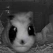 ヒメ日記 2026/07/12 20:10 投稿 水越 BBW横浜店