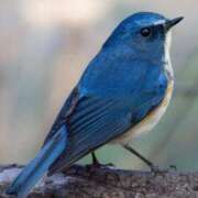 ヒメ日記 2025/06/22 20:48 投稿 すもも ドM女学園大阪