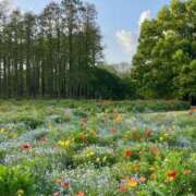 ヒメ日記 2025/07/07 20:08 投稿 すもも ドM女学園大阪
