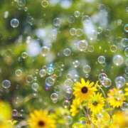 ヒメ日記 2025/07/24 12:03 投稿 すもも ドM女学園大阪