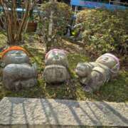 ヒメ日記 2025/07/27 12:02 投稿 すもも ドM女学園大阪