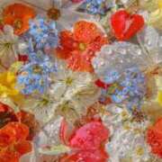 ヒメ日記 2025/08/24 18:03 投稿 すもも ドM女学園大阪