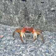 ヒメ日記 2025/12/23 19:26 投稿 すもも ドM女学園大阪