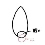 ヒメ日記 2026/06/22 12:14 投稿 すもも ドM女学園大阪