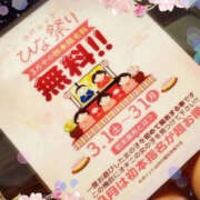 ヒメ日記 2025/03/02 17:00 投稿 ちさと ぼいんWORK