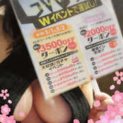 ヒメ日記 2025/05/01 19:03 投稿 ちさと ぼいんWORK