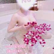 ヒメ日記 2025/09/11 09:09 投稿 ななせ 吉祥寺大人めシンデレラ（シンデレラグループ）