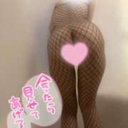 ヒメ日記 2025/10/16 07:37 投稿 ななせ 吉祥寺大人めシンデレラ（シンデレラグループ）