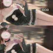 ヒメ日記 2024/12/24 02:46 投稿 ノア アリスマリオン