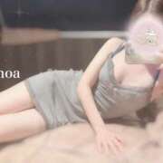 ヒメ日記 2025/01/13 19:01 投稿 ノア アリスマリオン