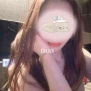 ヒメ日記 2025/01/24 14:31 投稿 ノア アリスマリオン