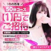 ヒメ日記 2024/10/12 11:12 投稿 りず アイドルチェッキーナ本店