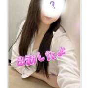 ヒメ日記 2025/04/10 10:22 投稿 りず アイドルチェッキーナ本店