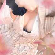 ヒメ日記 2025/09/19 15:22 投稿 りず アイドルチェッキーナ本店