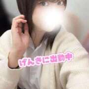 ヒメ日記 2025/11/05 16:22 投稿 りず アイドルチェッキーナ本店