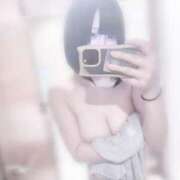 ヒメ日記 2024/12/10 09:13 投稿 こゆき もみもみワンダーランド