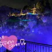 ヒメ日記 2025/01/22 19:33 投稿 こゆき もみもみワンダーランド