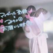 ヒメ日記 2025/03/27 08:13 投稿 こゆき もみもみワンダーランド