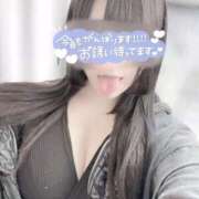 ヒメ日記 2025/04/04 16:53 投稿 こゆき もみもみワンダーランド