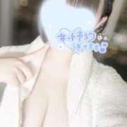 ヒメ日記 2025/06/05 08:13 投稿 こゆき もみもみワンダーランド