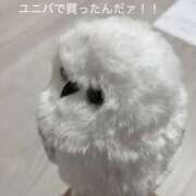 ヒメ日記 2026/01/07 14:44 投稿 ろと スピード梅田店