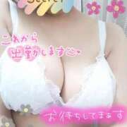 ヒメ日記 2025/02/27 11:02 投稿 あん 鶯谷デリヘル倶楽部